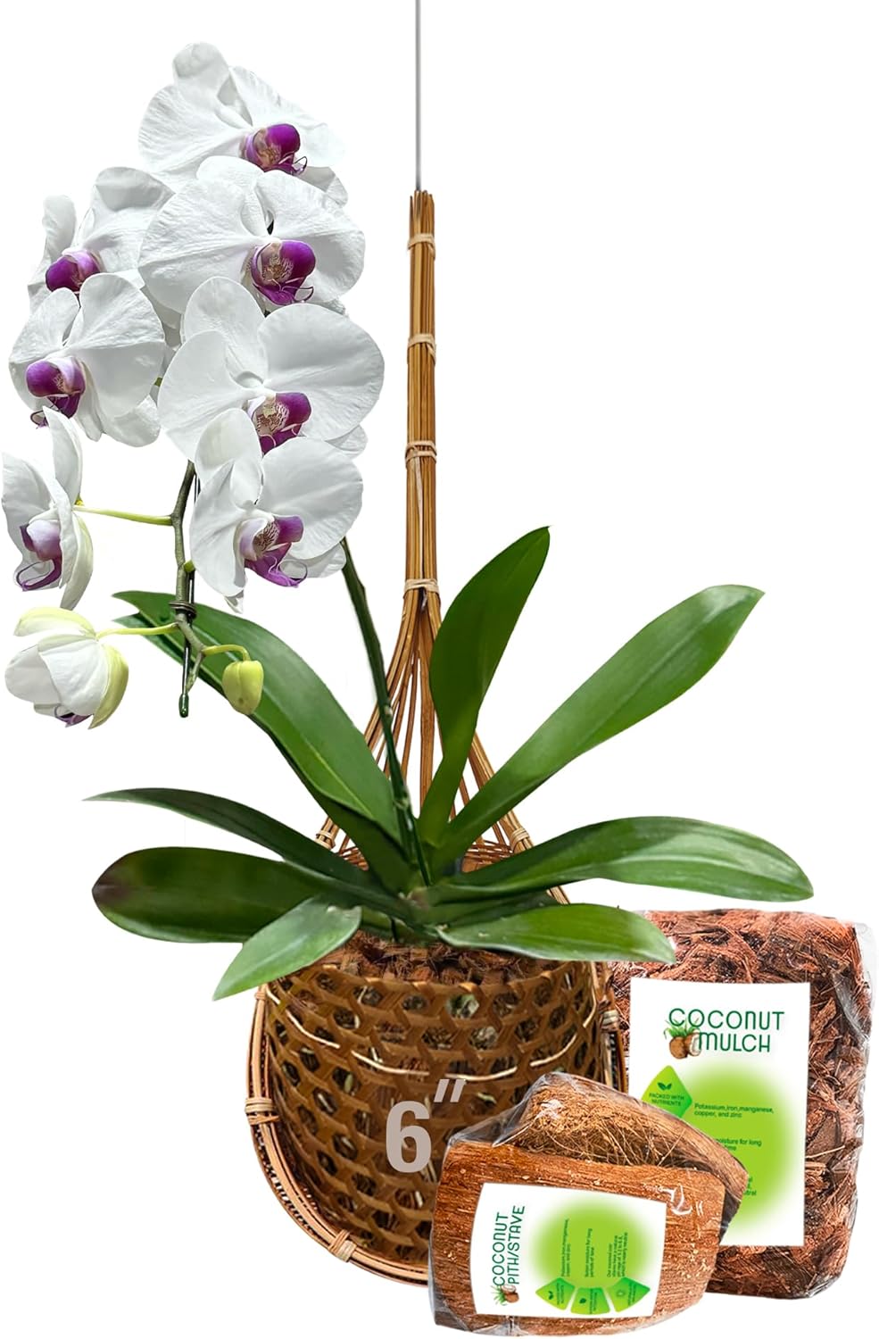 Handmade 6 Inch Thai Bamboo Orchid Hanging Basket for Plants