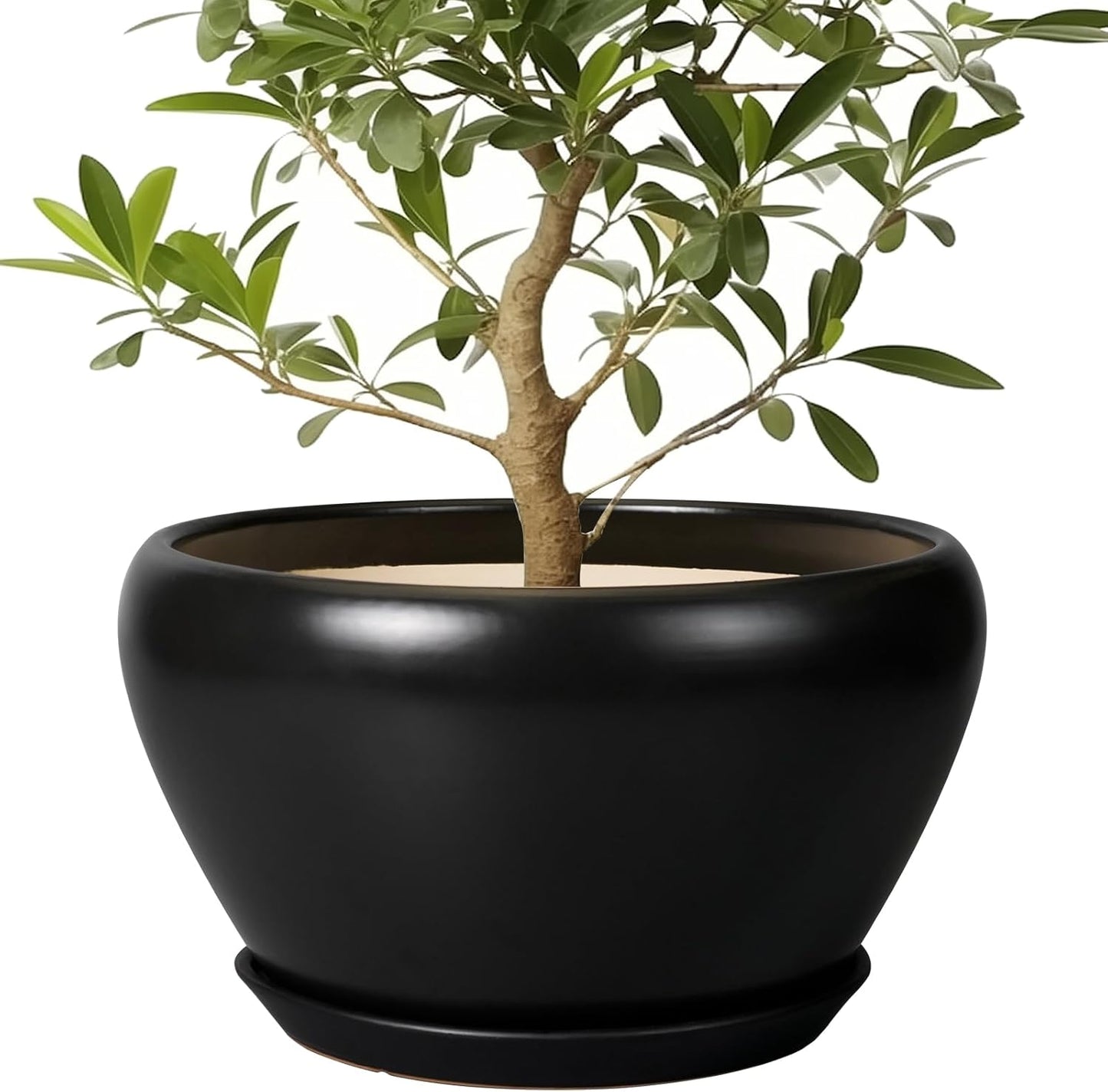 Large 13 Inch Ceramic Pot for Plants with Drainage and Saucer
