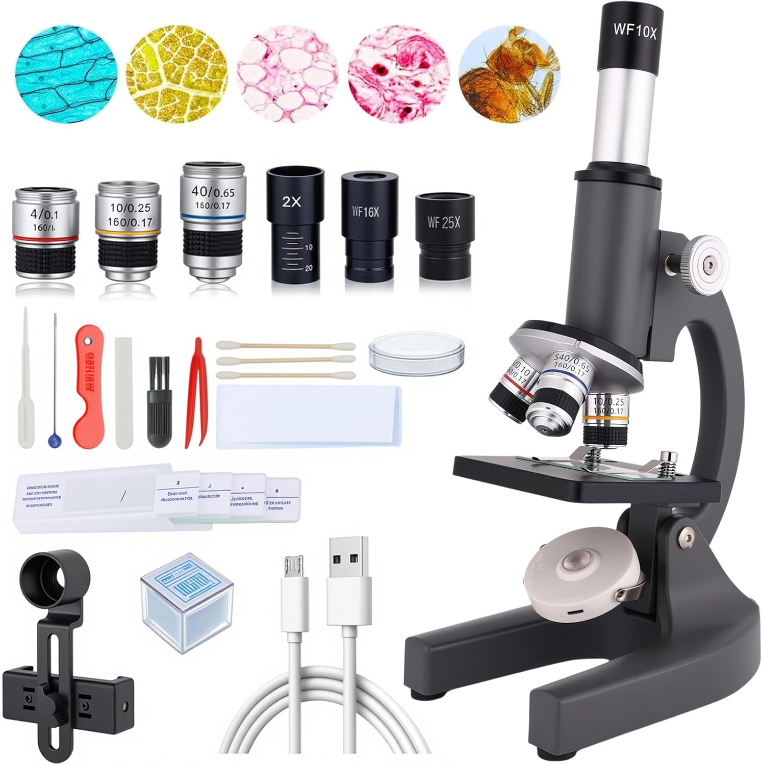 Gray 40-2000X Magnification Compound Microscope for All Ages