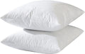 20x20 Decorative Throw Pillow Inserts Set of 2 - Feather & Down
