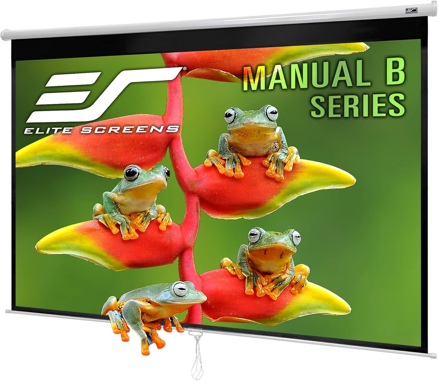 Elite Screens Manual B 80-Inch Pull Down Projector Screen Review