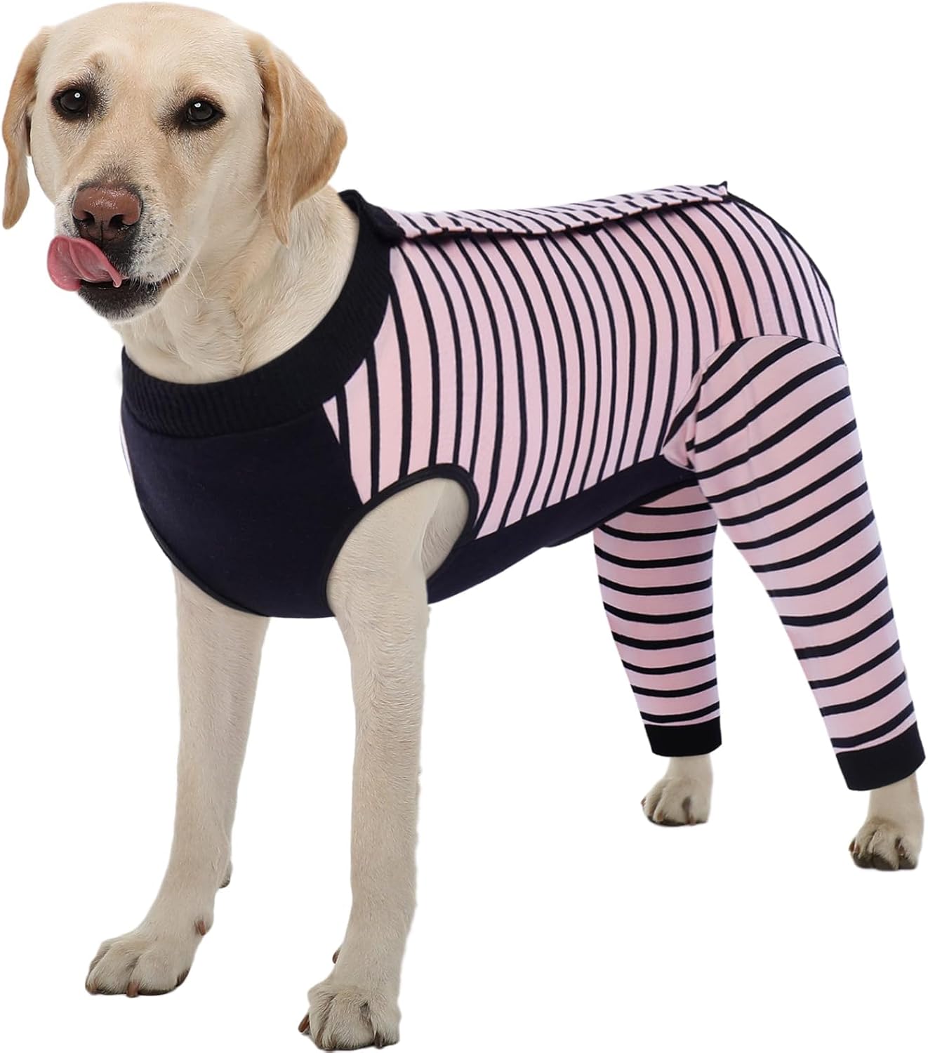 Kuoser Dog Recovery Suit for Post-Surgery Comfort and Care