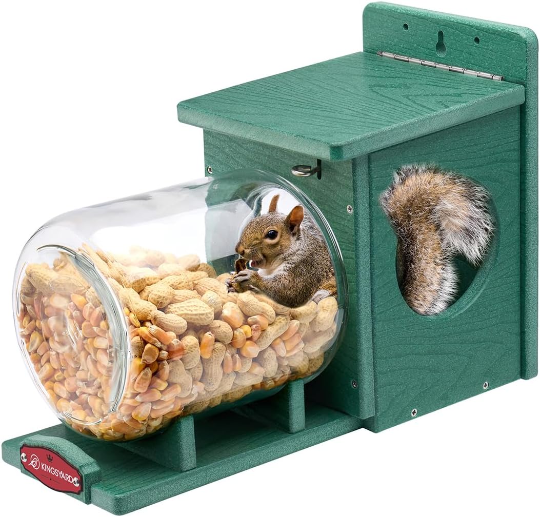 Recycled Plastic Squirrel Feeder for Outside - Durable & Sturdy
