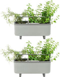 Vego garden 2 Pack Herb Indoor Plant Box Fog Gray - Self Watering