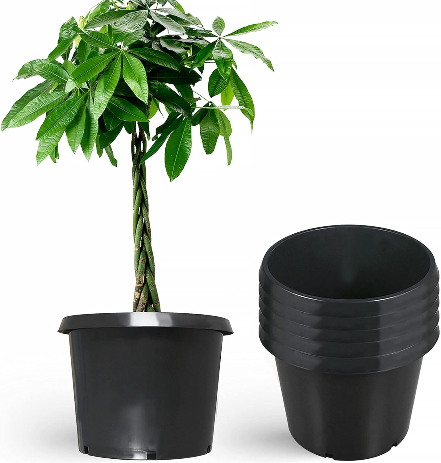 20 Gallon Nursery Pots for Plants - Durable Injection Molded Design