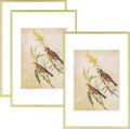 8x12 Picture Frame Set of 3 Matte Gold Thin Metal Frame - Modern