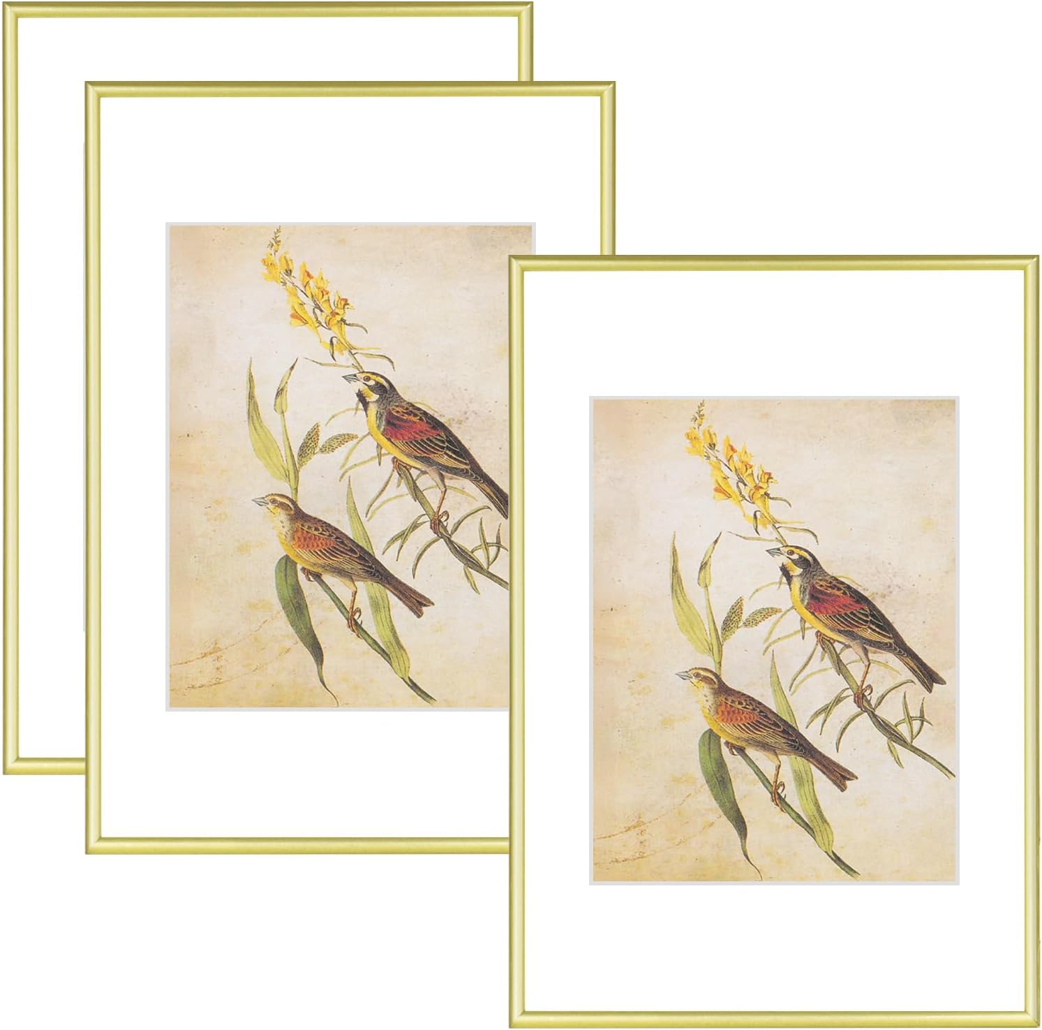 8x12 Picture Frame Set of 3 for Urban Wall Art Display