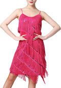 Women Salsa Latin Dance Sequin Tassel Flapper Dress - 1920s Gatsby