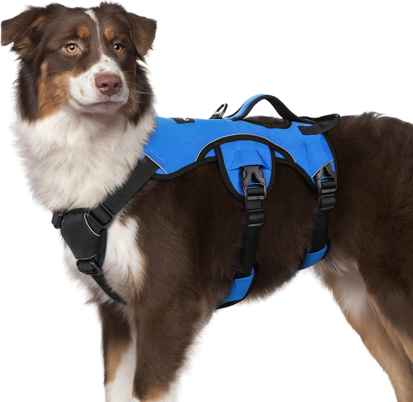 Escape Proof Dog Harness for Large Dogs by rabbitgoo, Blue