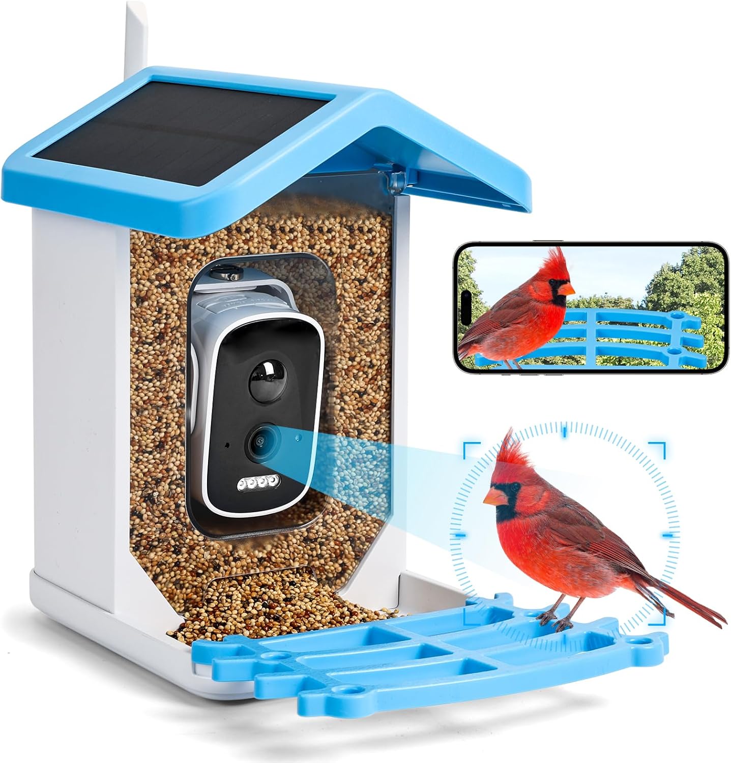 Bikadoo Smart Bird Feeder: HD Camera, AI Bird ID, Alerts