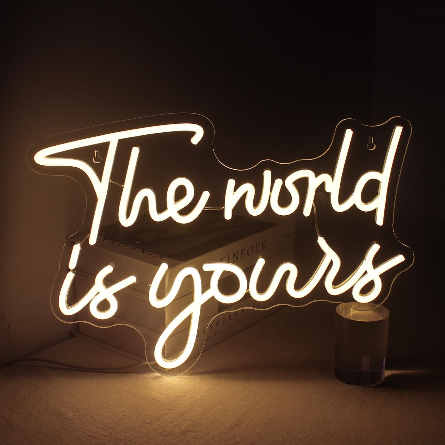 LUCUNSTAR Neon Signs for Wall Decor - Light Up Your Space
