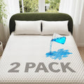 Waterproof Mattress Protector Queen 2-Pack - Deep Pocket, Noiseless