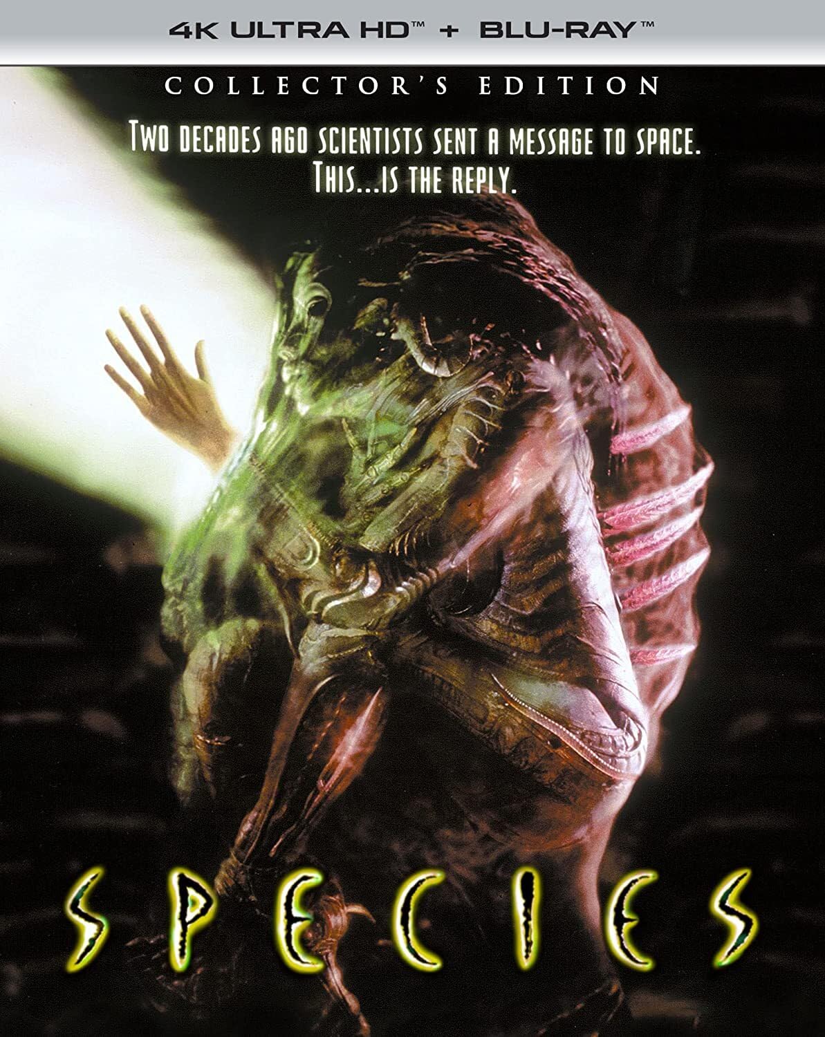 Species Collector's Edition 4K Ultra HD Blu-ray for Movie Lovers
