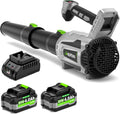 Leaf Blower Cordless 2x4.0Ah Battery Kit - Lightweight 650CFM