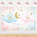 15x8ft Gender Reveal Backdrop Pink Blue Cloud Photography Background
