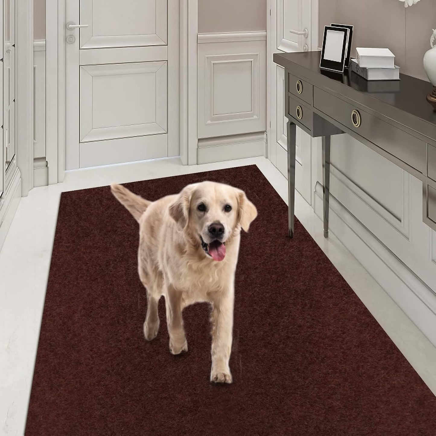 Runner Rug 4FT x 20FT with Non-Slip Backing for Entryways