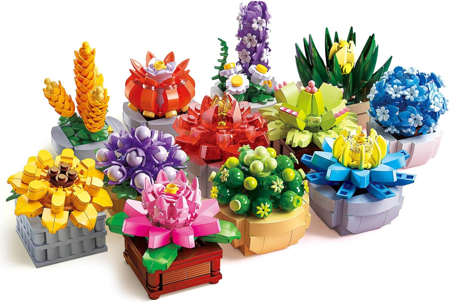 Succulents Set for Adults Building Sets - 12 Plants for Decor
