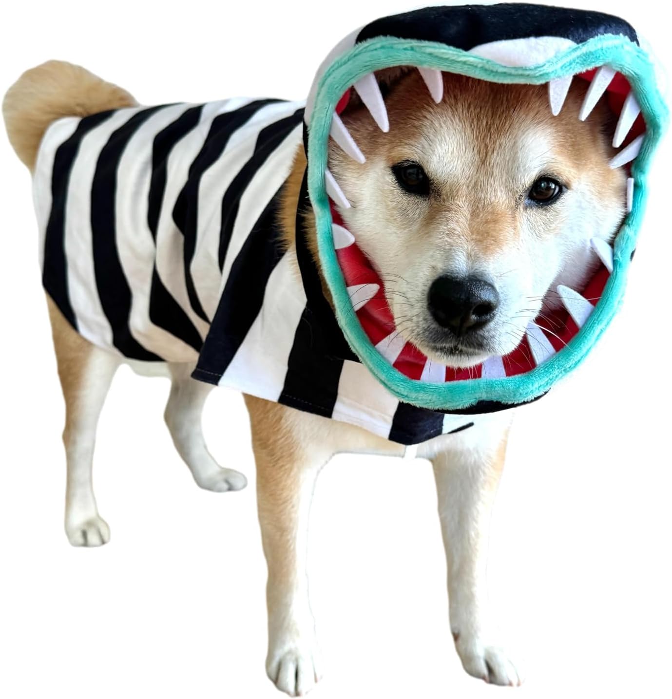 ComfyCamper Snake Costume for Dogs - Perfect for Halloween Fun