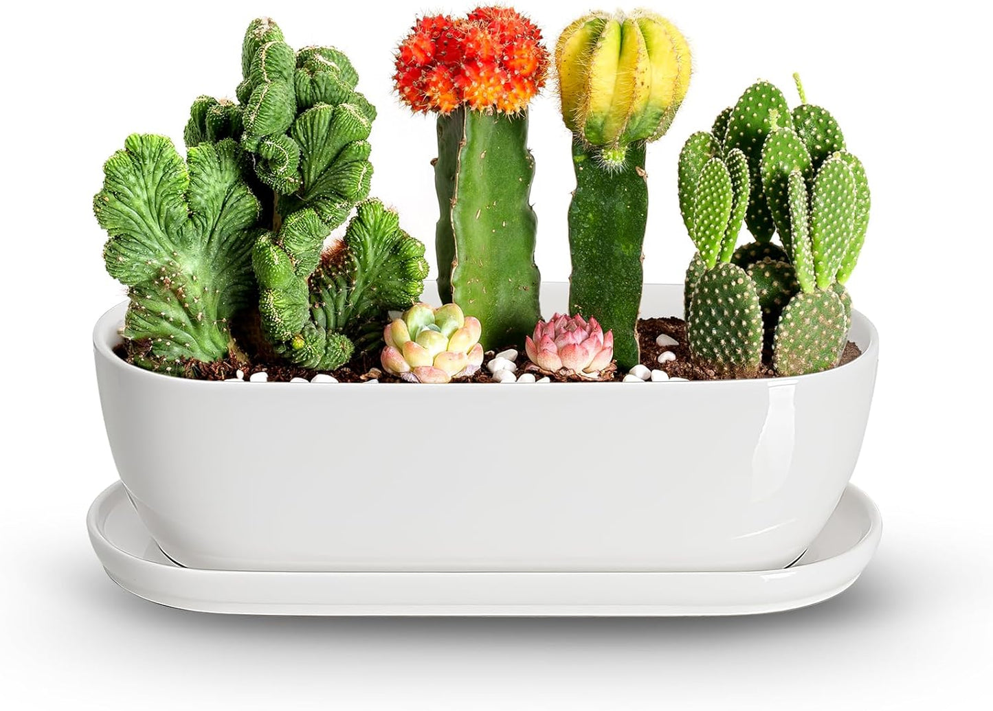 E-liu Oval Ceramic Planter Pot with Drainage Hole for Succulents