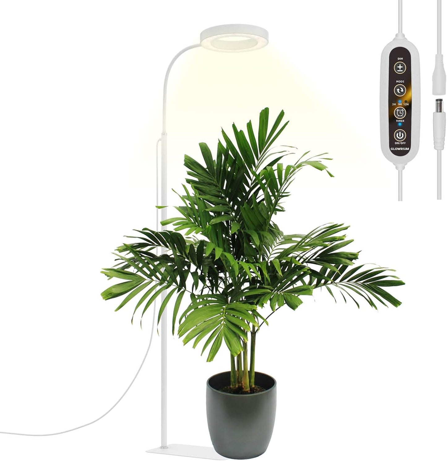 GLOWRIUM Grow Lights for Indoor Plants with Adjustable Height