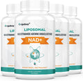 Orgabay Liposomal NAD+ 240 Softgels - High Absorption Daily Formula