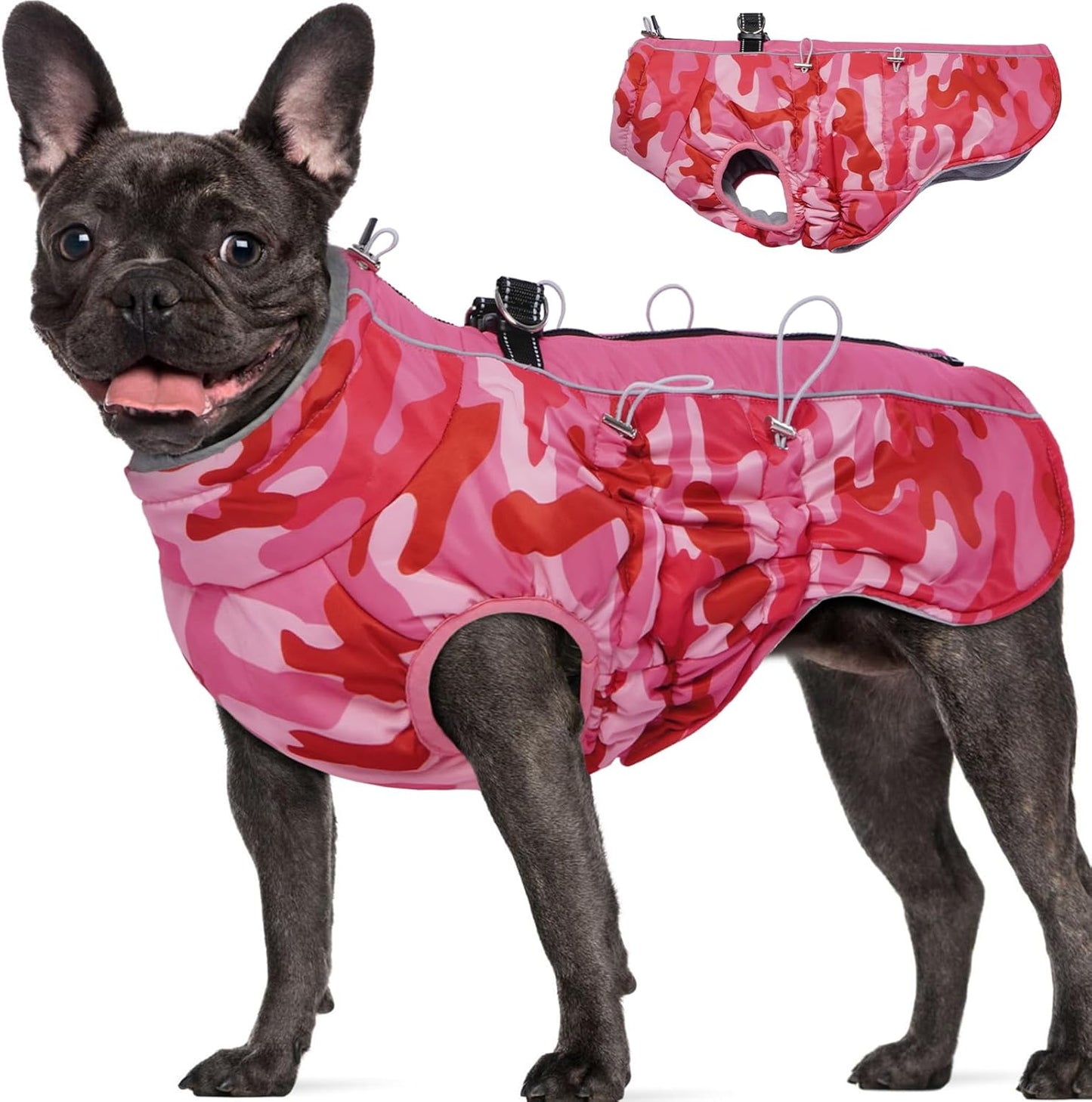 Warm Dog Coat for Medium Dogs - Waterproof Winter Jacket