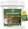 Muck Reducer 5LB Natural Sludge Solution Tablets - Controls Muck