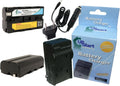 Replacement Sony NP-F550 Battery & Charger 2 Pack - Extra Power