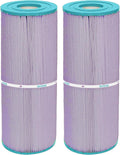 Hurricane Filters HF4950-01P Spa Filter Cartridge for PRB50-IN