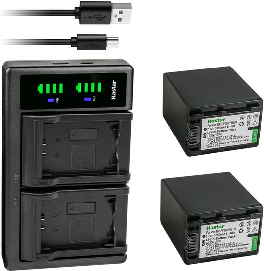 Kastar 2-Pack Battery NP-FV100 with USB Charger for Sony Cameras
