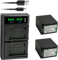 Kastar 2-Pack NP-FV100 Battery and USB Charger - Extended Run