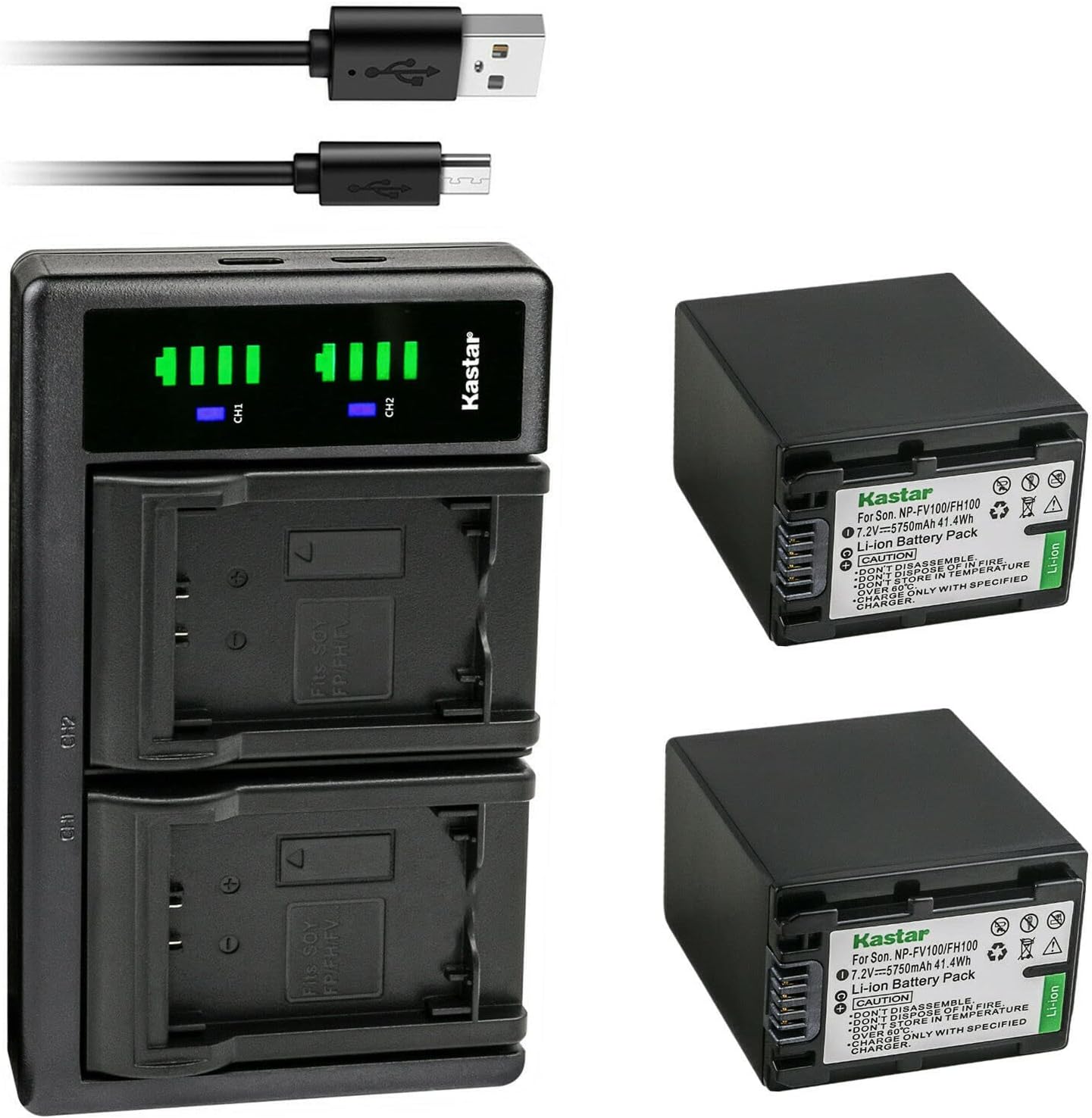 Kastar 2-Pack NP-FV100 Battery and USB Charger for Sony Cameras