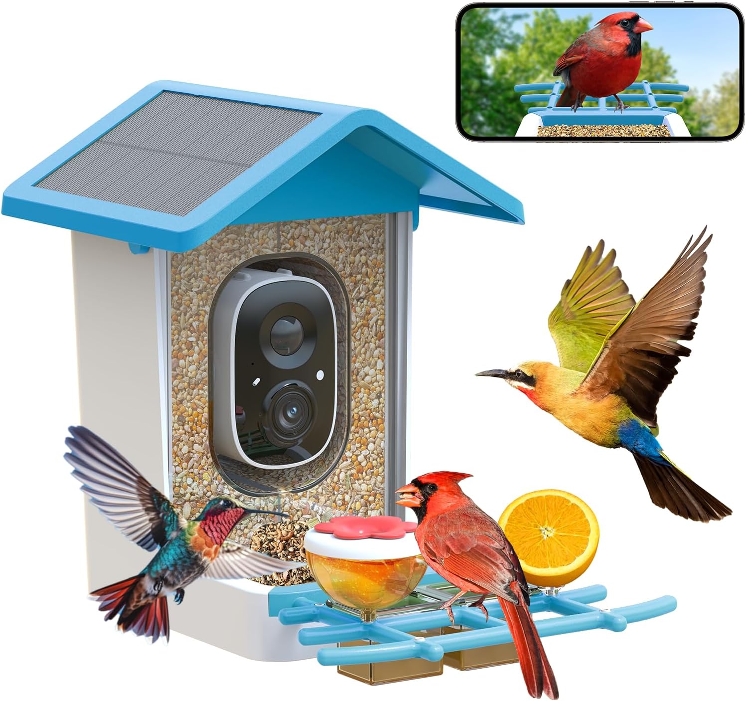 Solar Bird Feeder with AI Camera - Unique Outdoor Gift - Blue