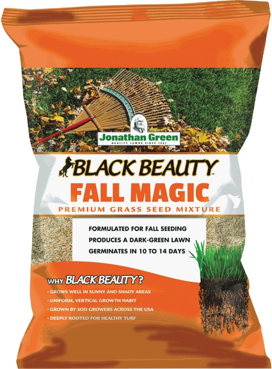Black Beauty Fall Magic Grass Seed for Lush Green Lawns