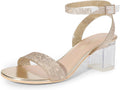DREAM PAIRS Women's Open Toe Ankle Strap Low Block Chunky Heels TPU