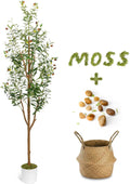 6FT Artificial Olive Tree - Realistic Indoor Faux Olive Plant for Home