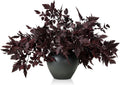 Artificial Cimicifuga Leaf Spray 10-Pack - Lifelike Fall Accent