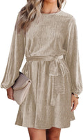 Velvet Lantern Sleeve A-Line Skater Dress - Flattering Party Fit