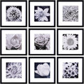 Yaetm 12x12 Picture Frames Black Set of 9 - Gallery Wall Display
