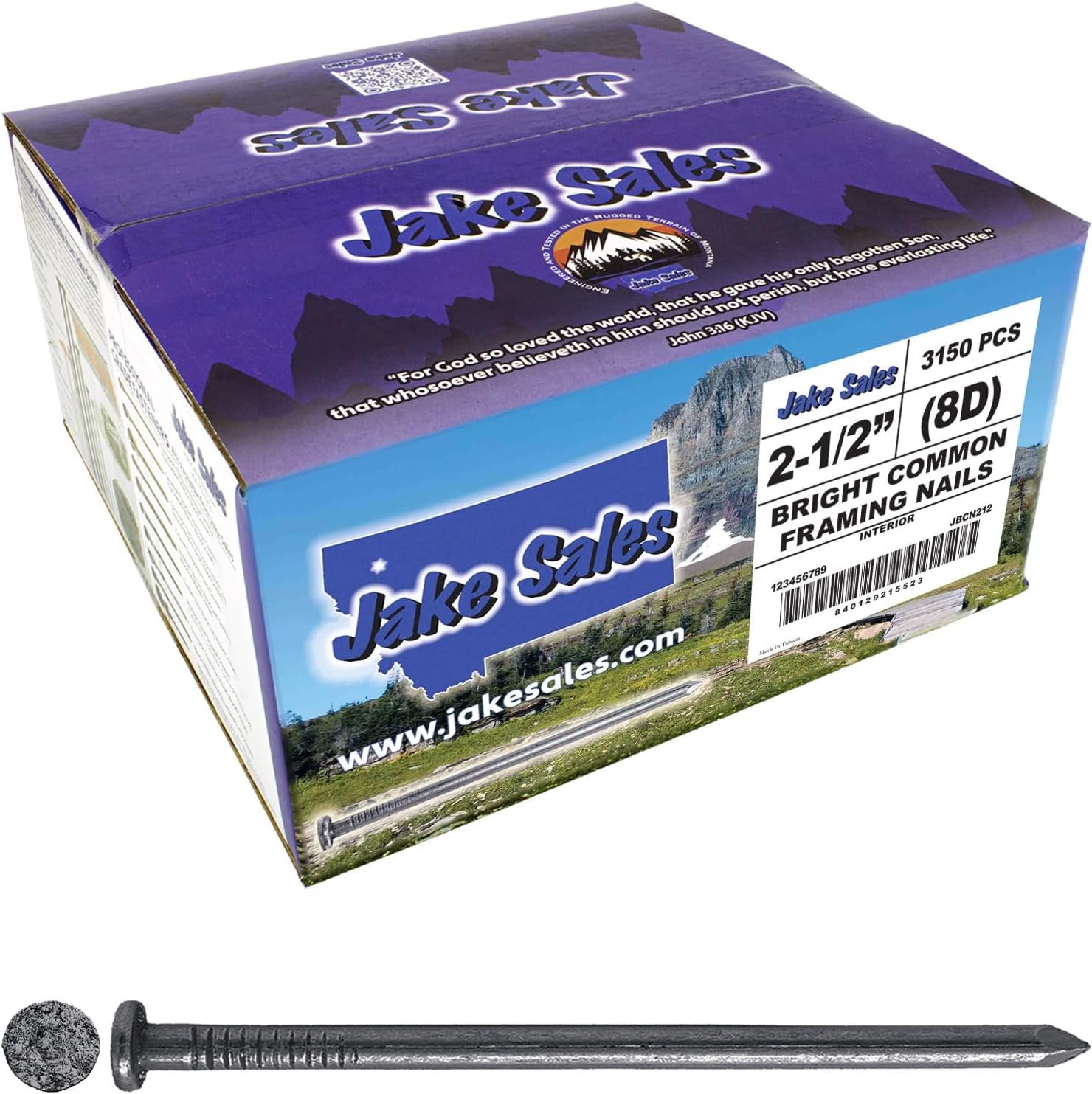2-1/2 Inch Bright Common Nail 8D for Construction Projects