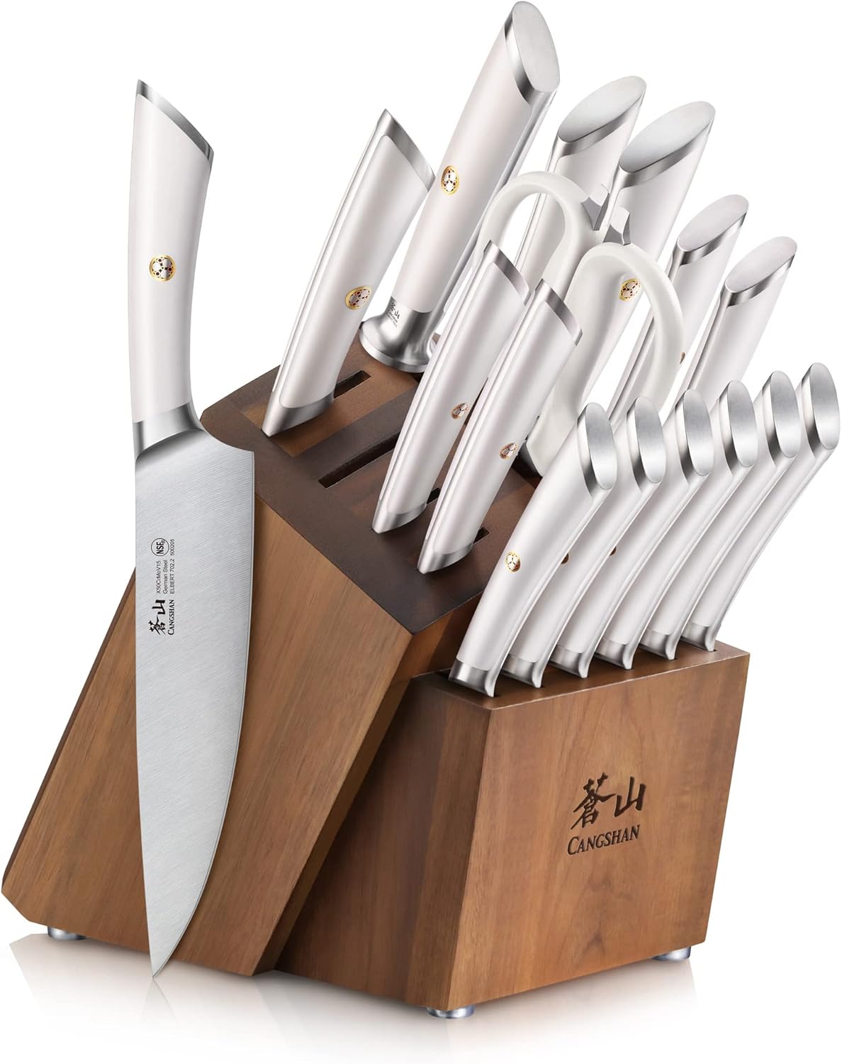 Cangshan ELBERT Series German Steel Forged Knife Block Set Review