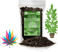 Organic Autoflower Plants Potting Soil Mix for Thriving Growth