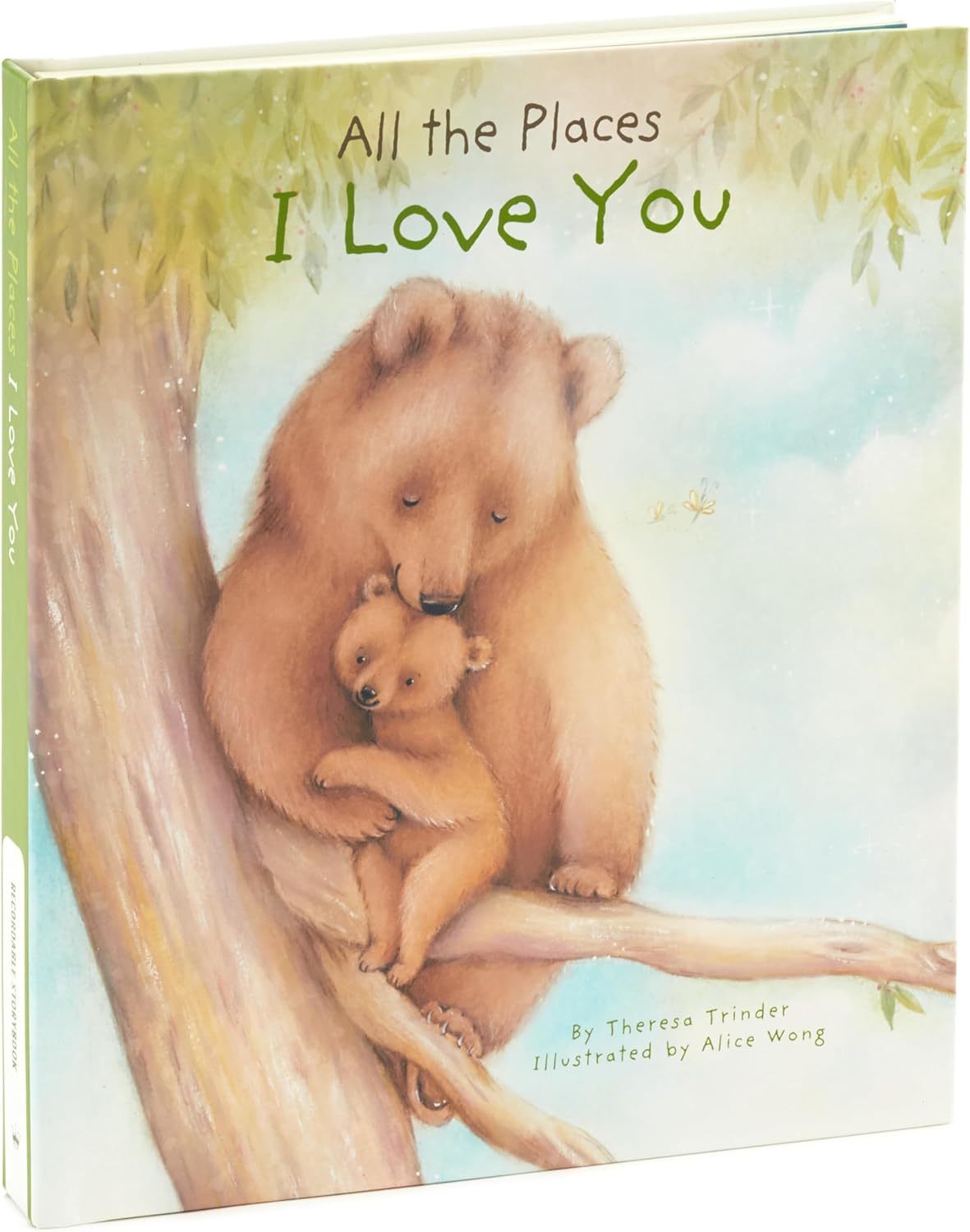 Hallmark Recordable Book with Music for Children - A Magical Gift
