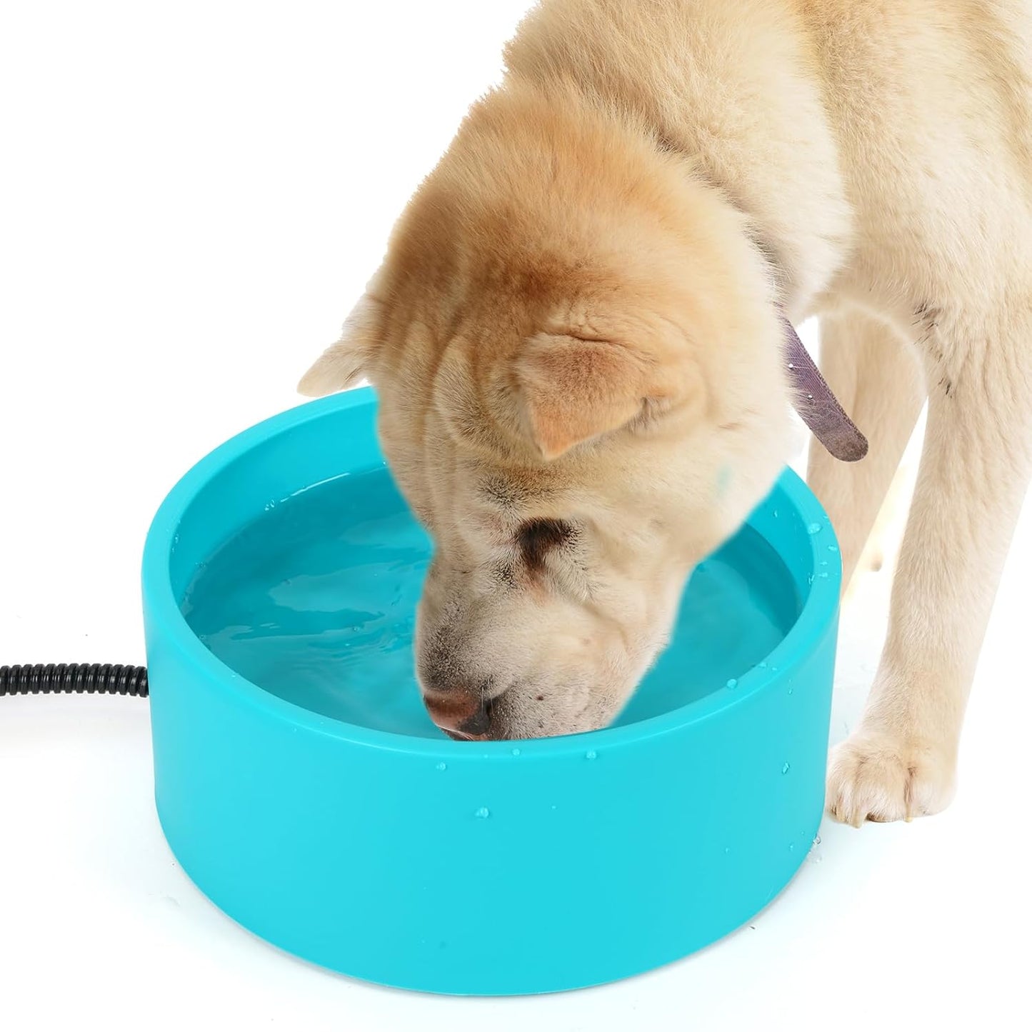 Thermostatic Heated Pet Bowl for Outdoor Pets - Berverra