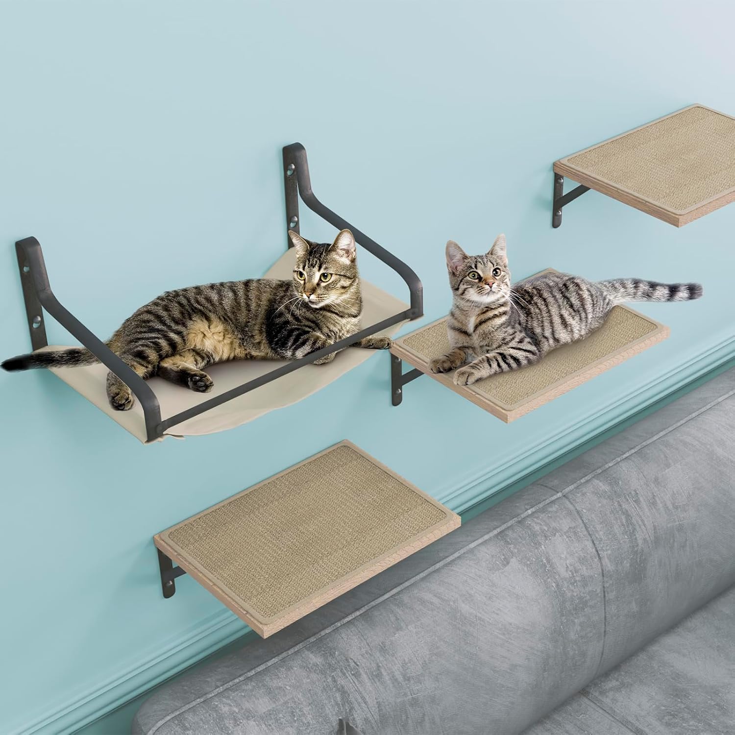 Cat Wall Shelves for Climbing, Hammocks, and Perches for Cats