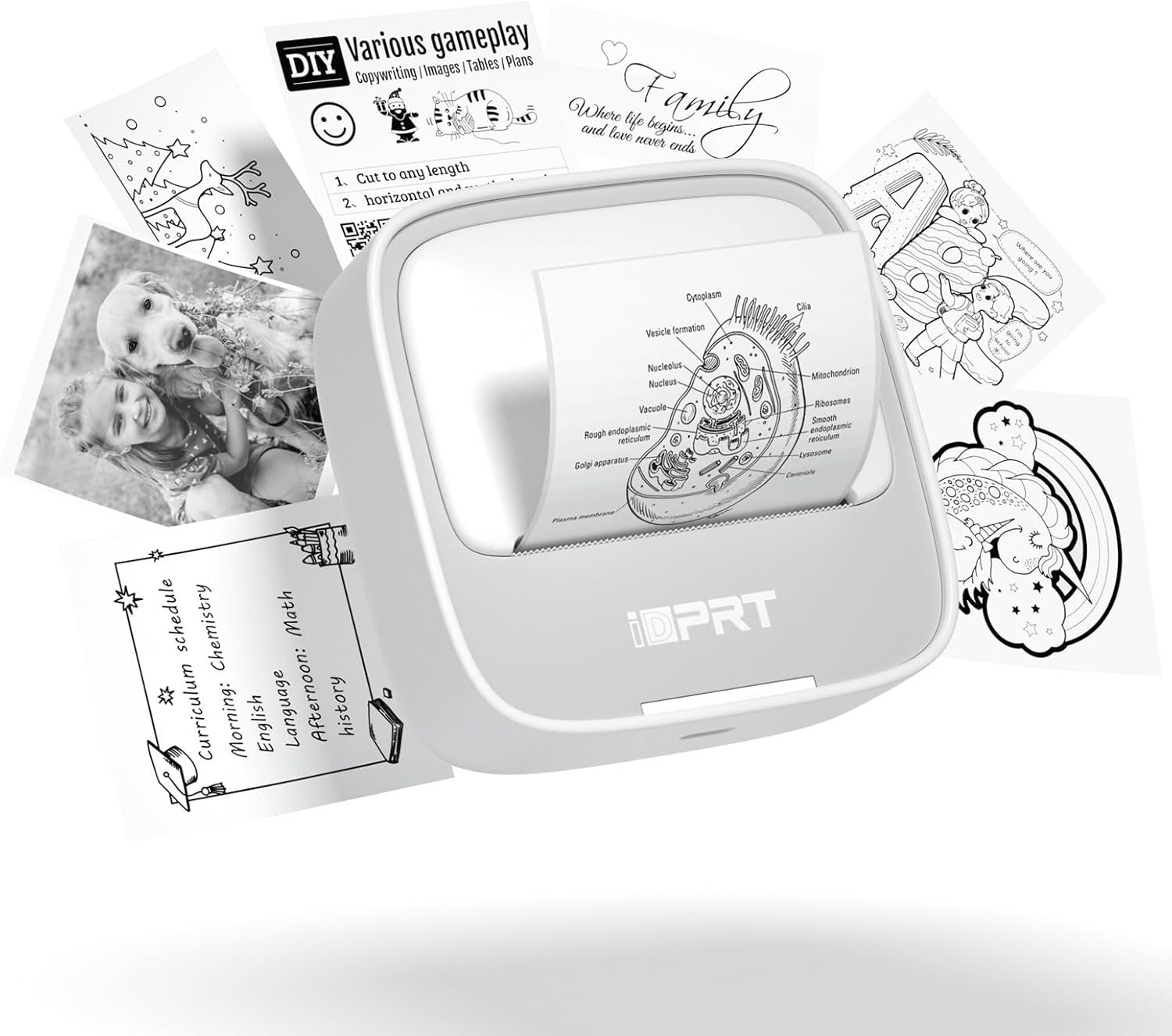 iDPRT Portable Sticker Printer: Efficient & Fast