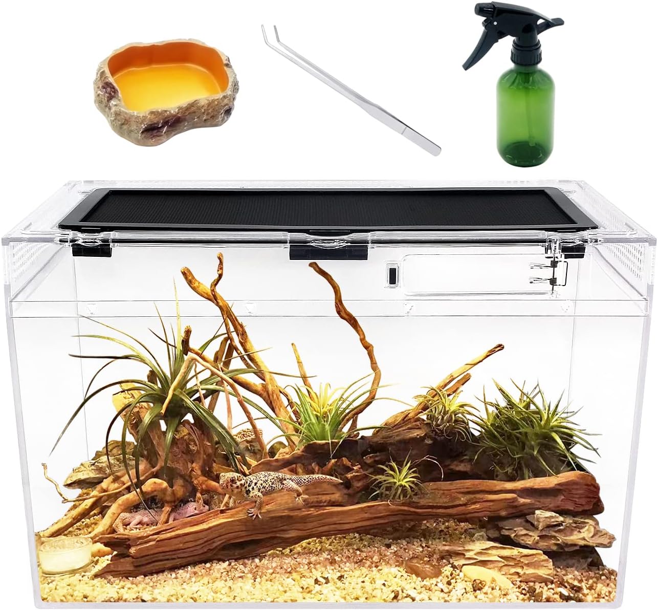 Reptile Terrarium for Various Pets - 16in x 8in x 10in Tank