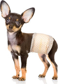 Pet Soft Disposable Male Dog Wraps XSmall - Extra Absorbent Diapers