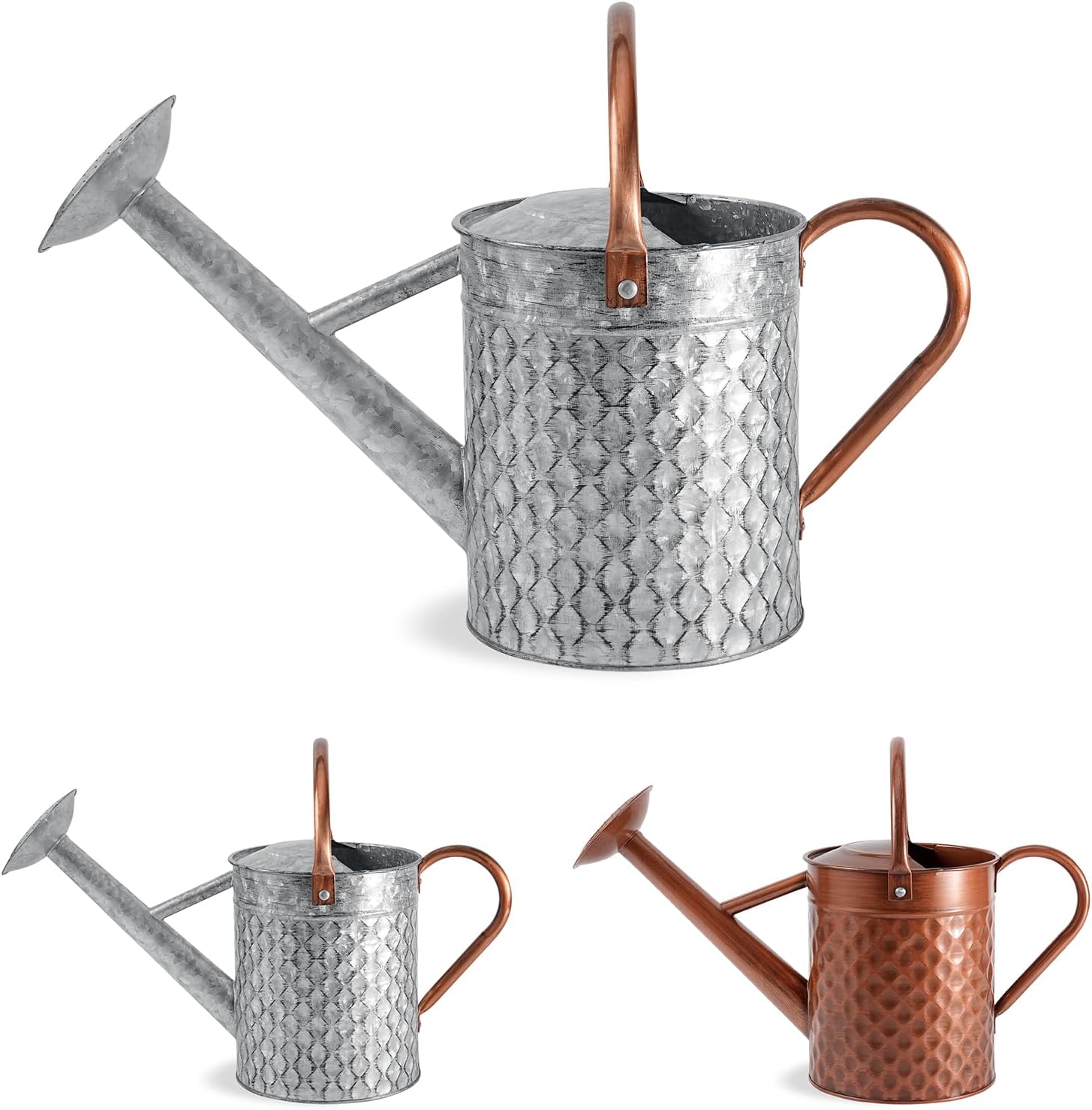 1 Gallon Metal Watering Can for Indoor and Outdoor Plants