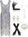 1920s Gatsby Sequin Fringed Paisley Flapper Dress (Style D6DK)